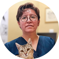 hospital veterinario gatos