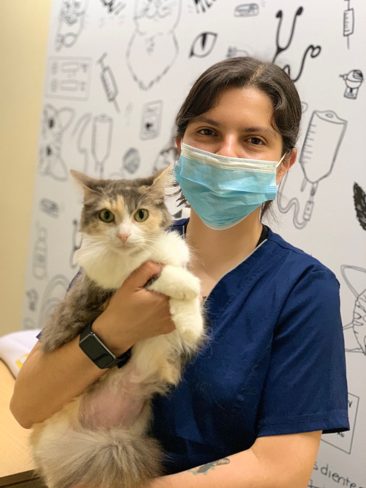 vacunas para gatos